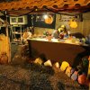IMG_0554