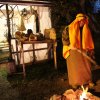 IMG_0654