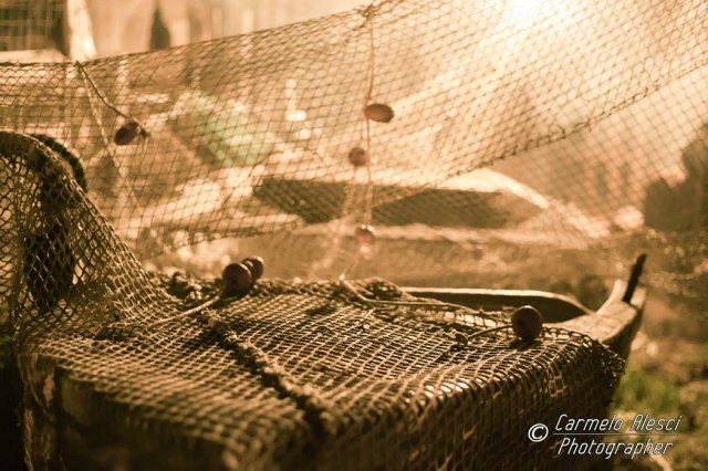 IX EDIZIONE - 2016/17 - Fotografo: Carmelo Alesci