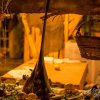 IX EDIZIONE - 2016/17 - Fotografo: Carmelo Alesci