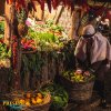 2019.20-filmor