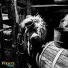 2019.20-filmor