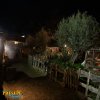 2019.20-filmor