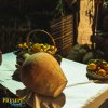 2019.20-filmor
