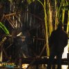 2019.20-filmor
